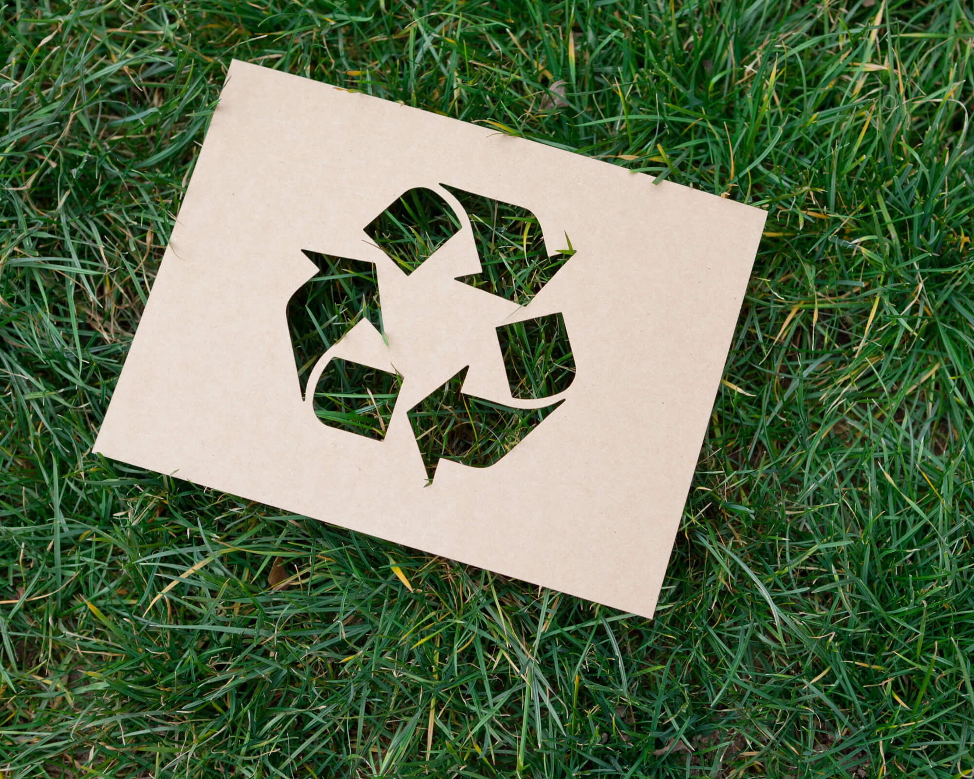 El cartón reciclado también es eutilizable