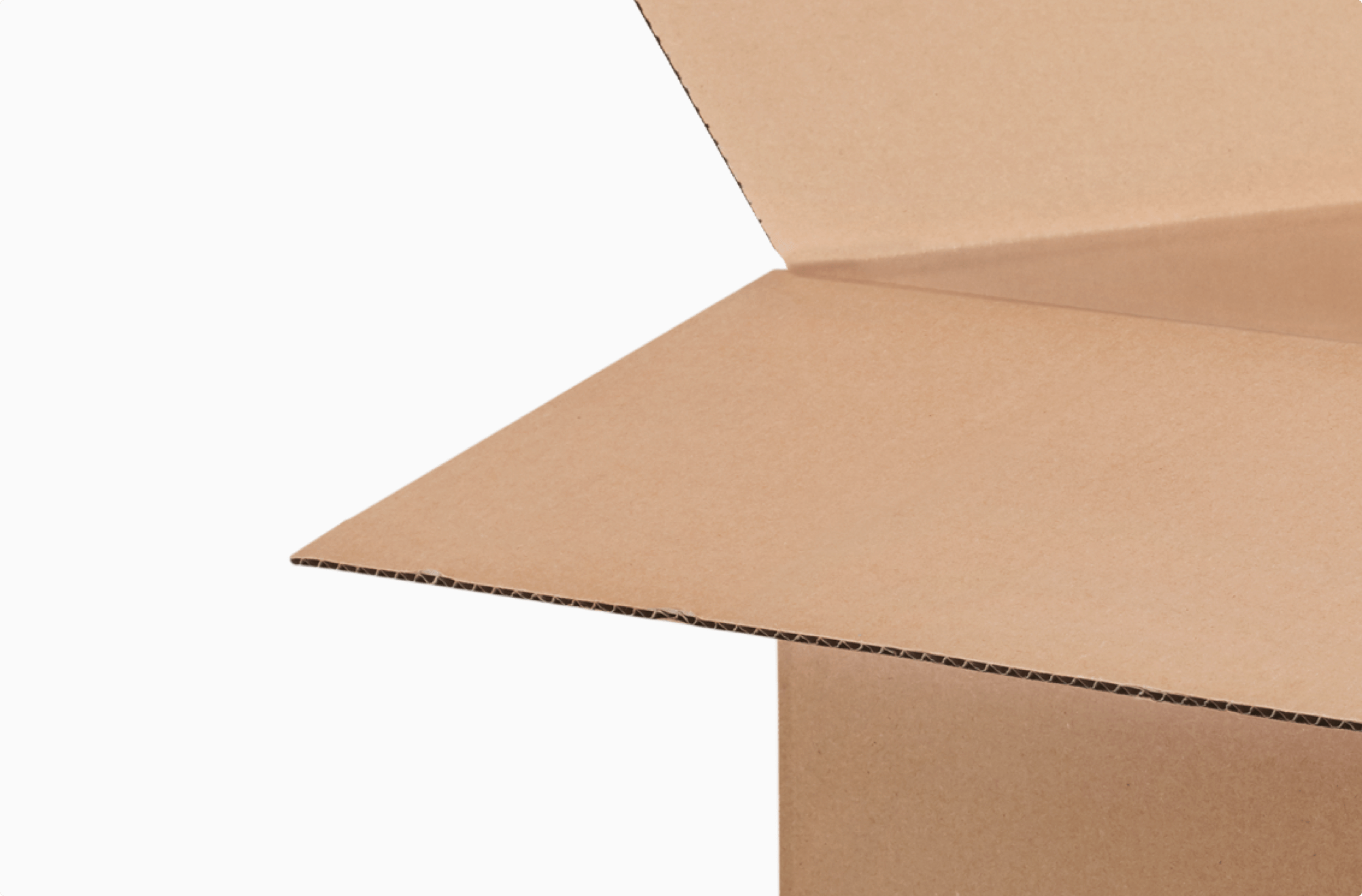 caja con solapas de cartón