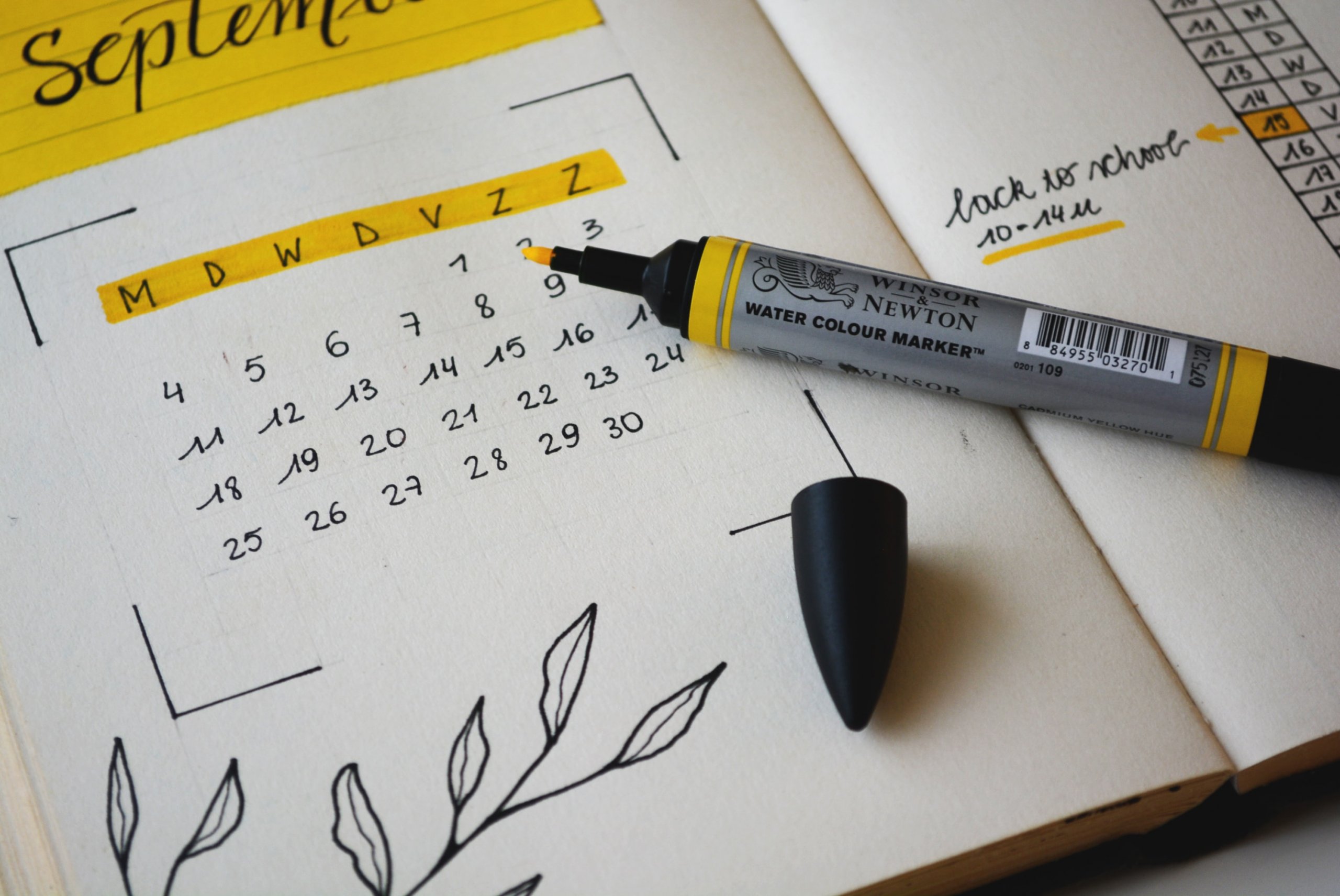 Calendrier livraison et fêtes de fin d’année