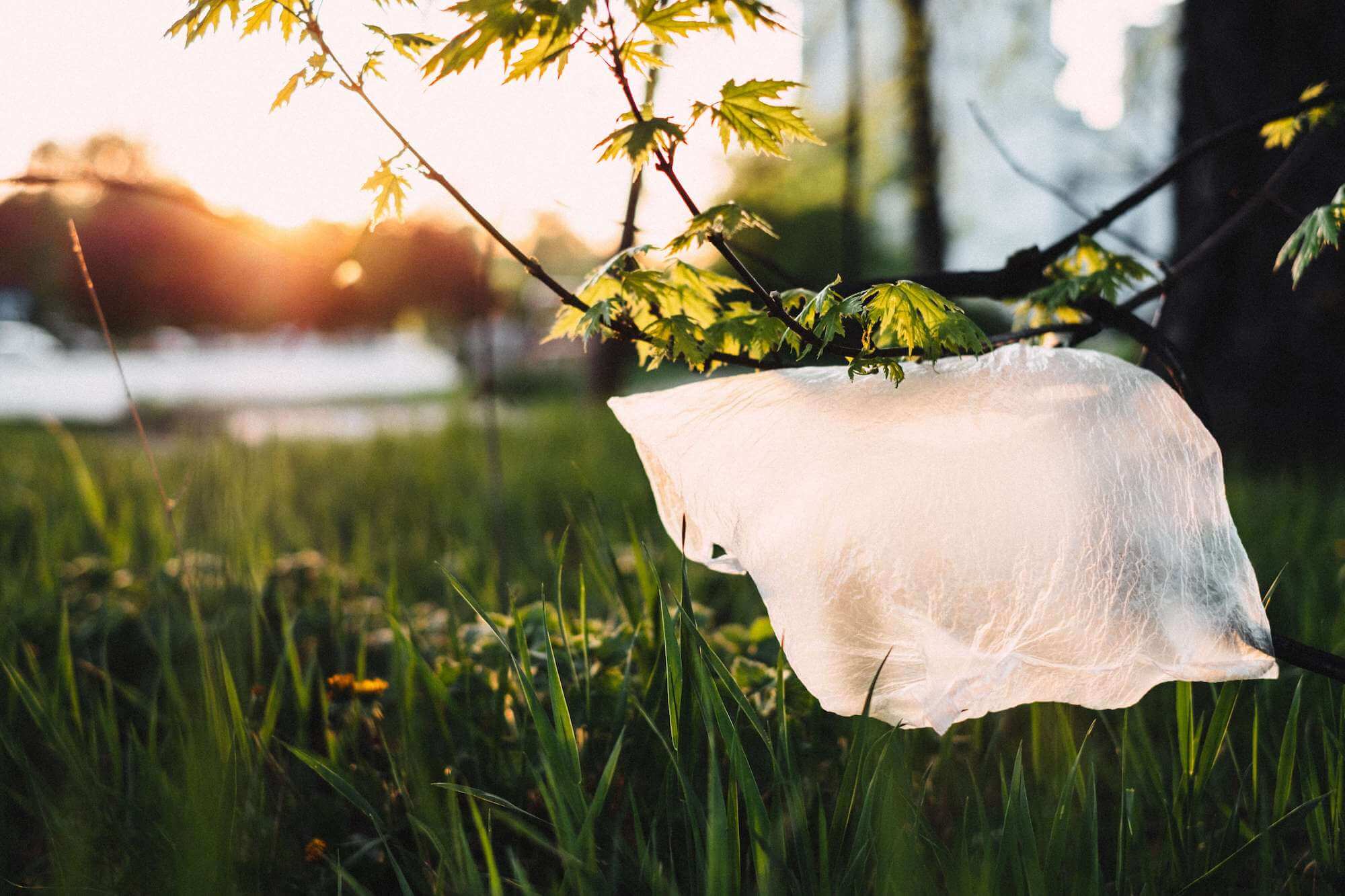 Sacchetto di plastica in mezzo alla natura