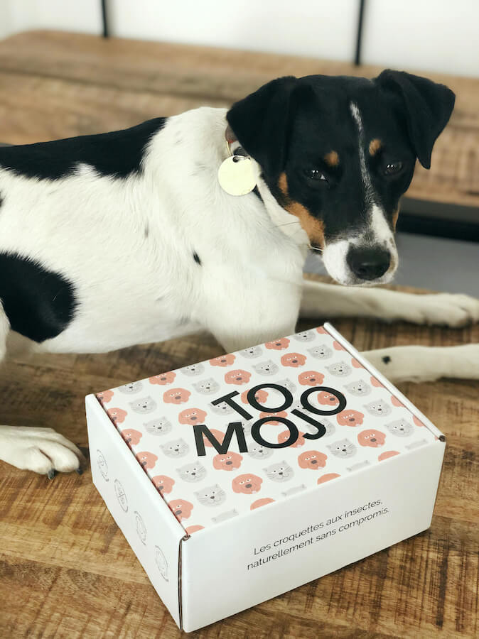 Boîte packaging des croquettes aux insectes Tomojo et chien