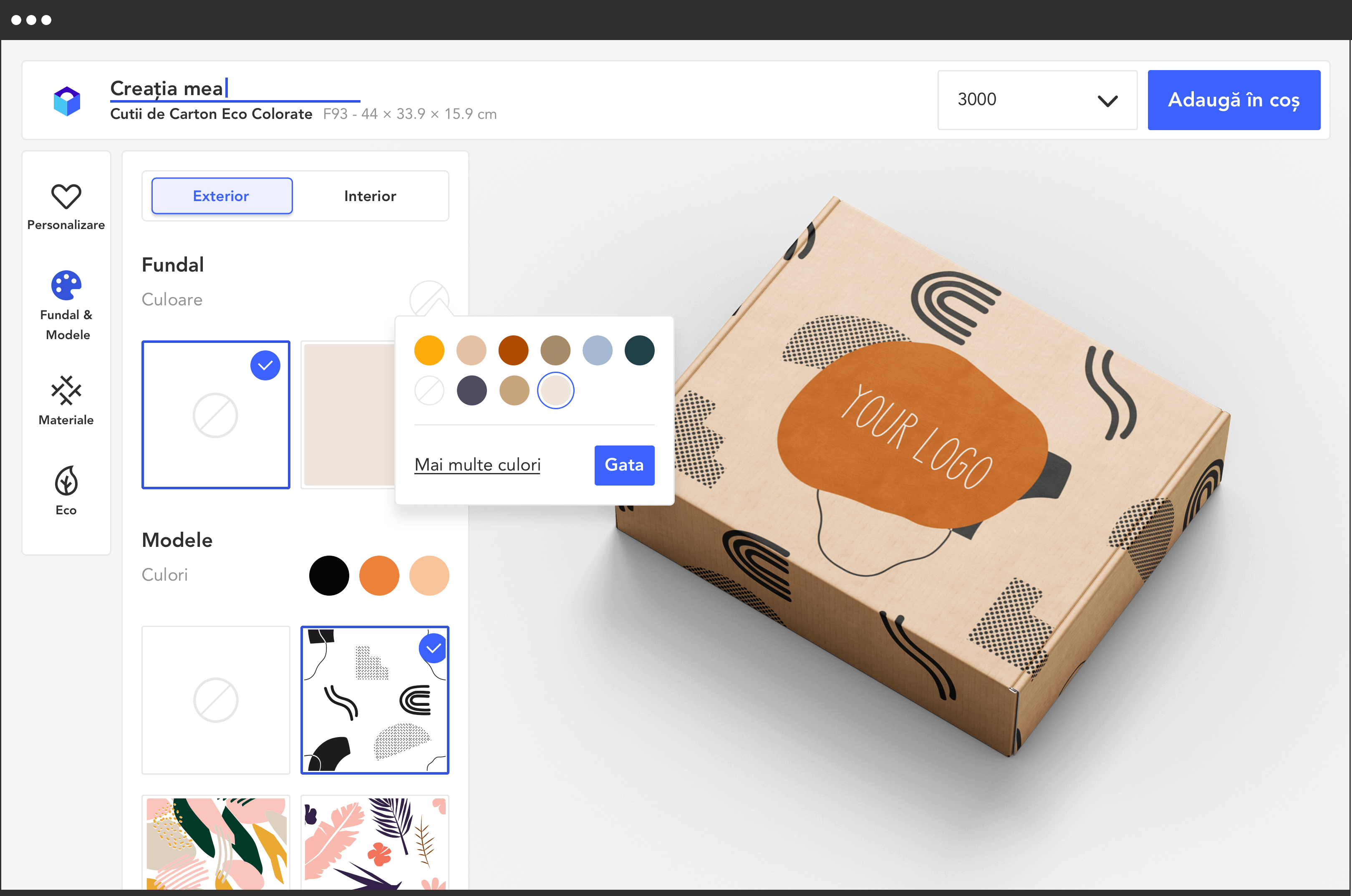 sectiune editor hompage 3x