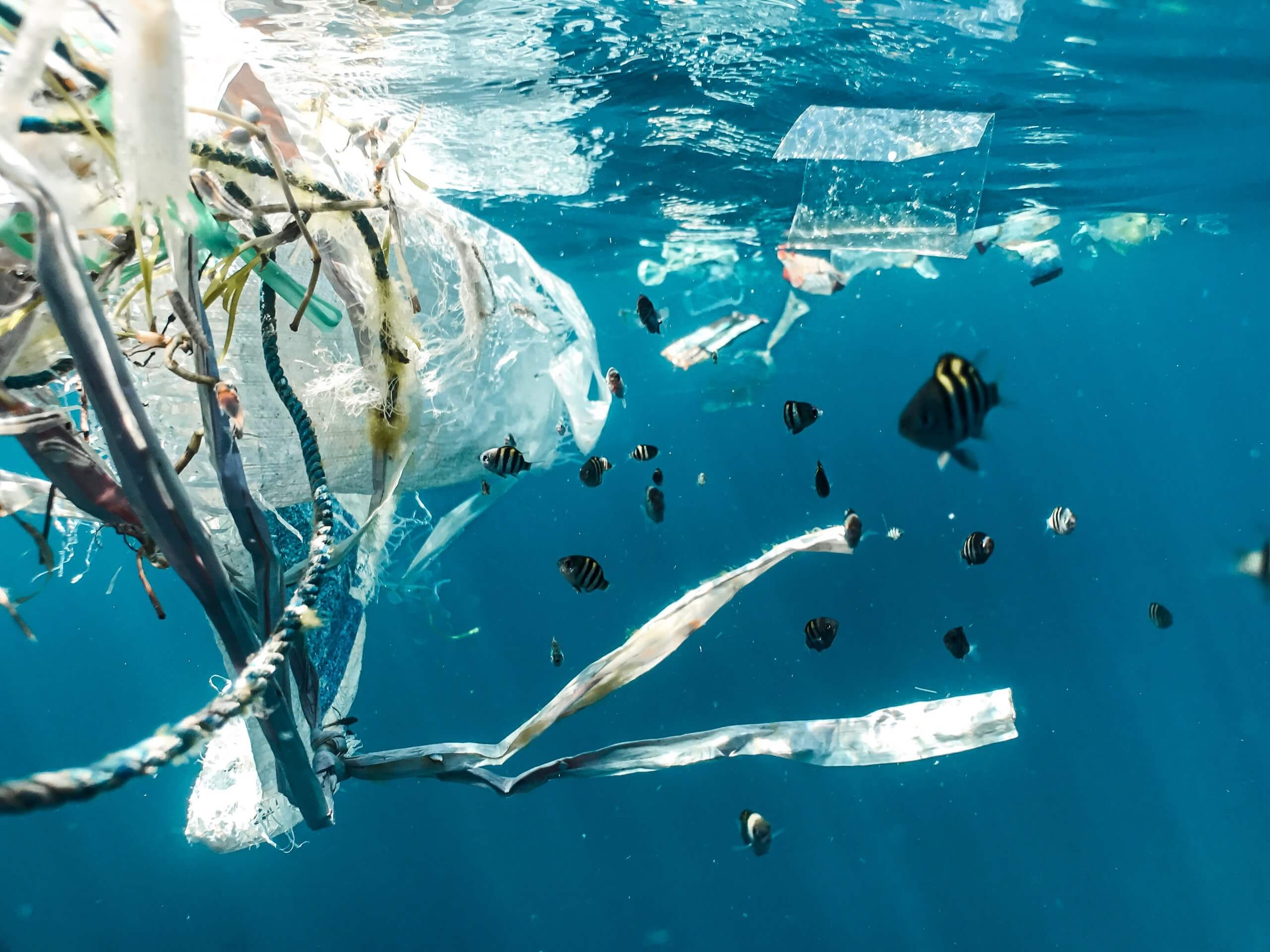 Plastic packaging waste in the ocean