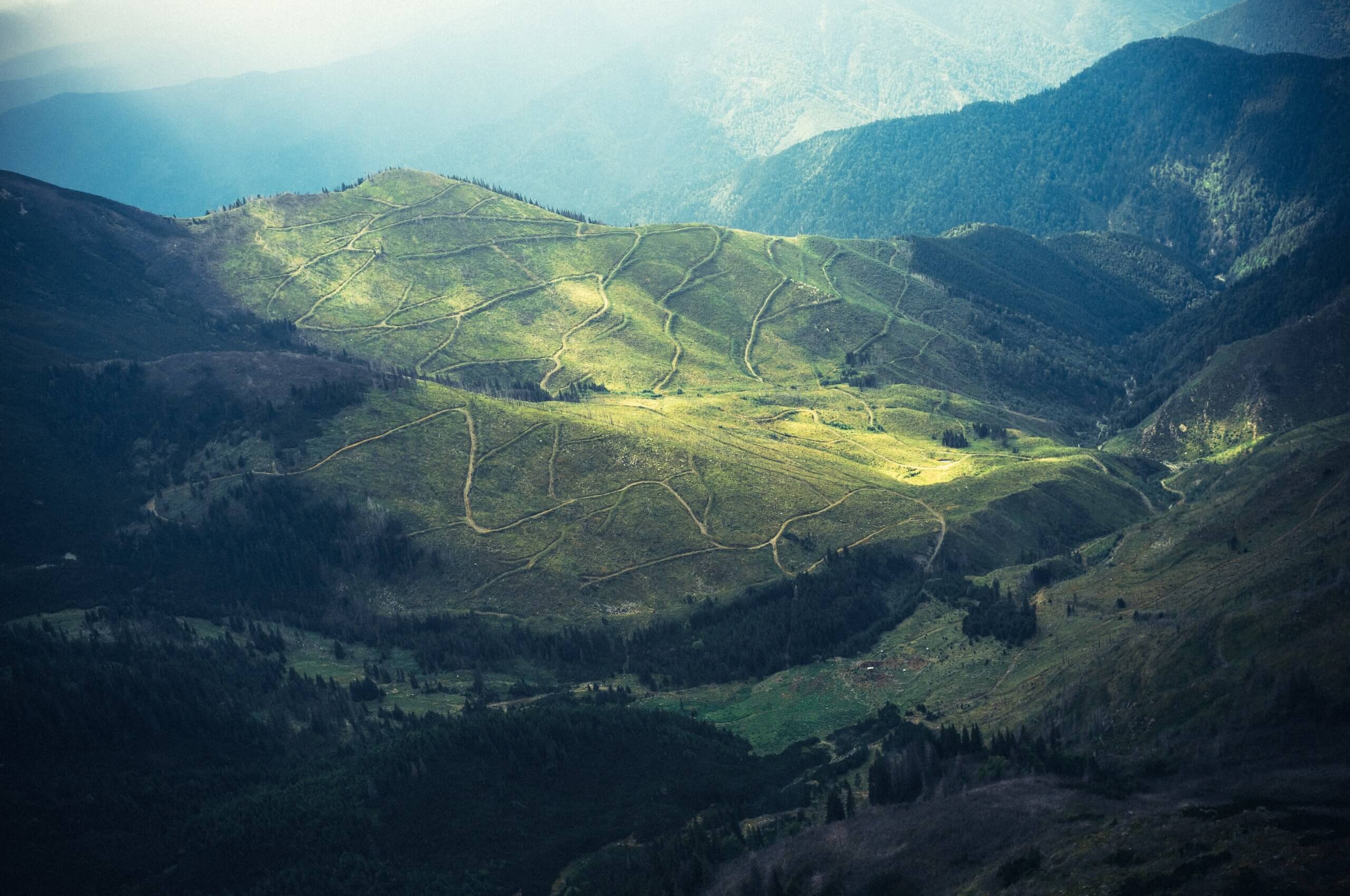 Deforestation in Fagaras Mountains