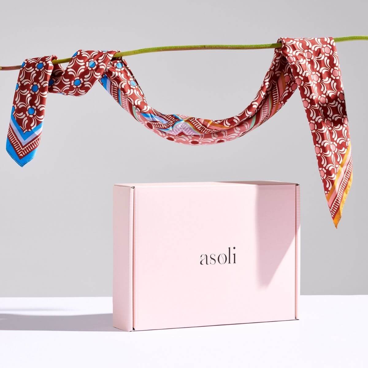 asoli packaging for clothes