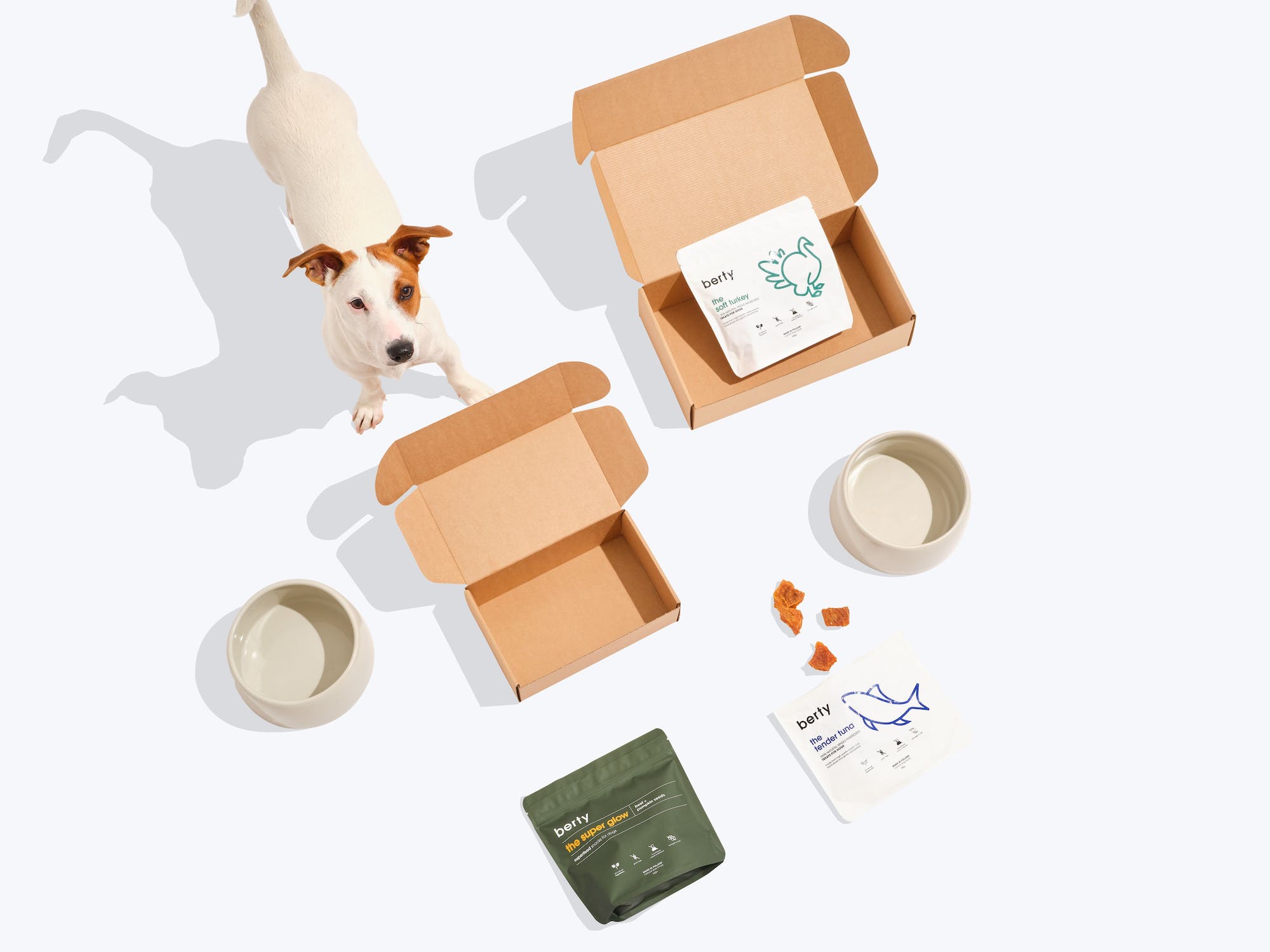 Beispiele Hundefutter-Verpackungsdesign