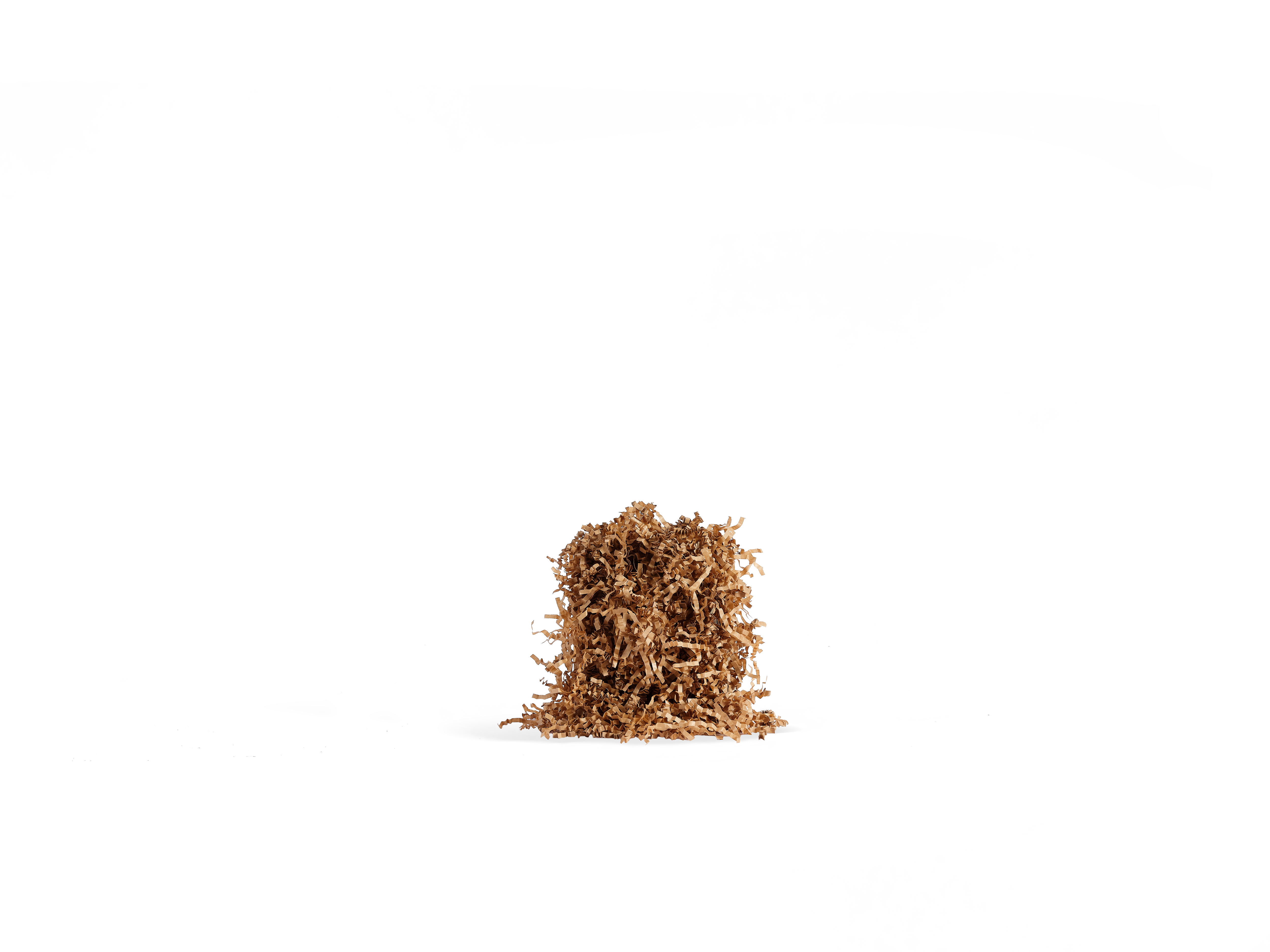 Shredded paper filler