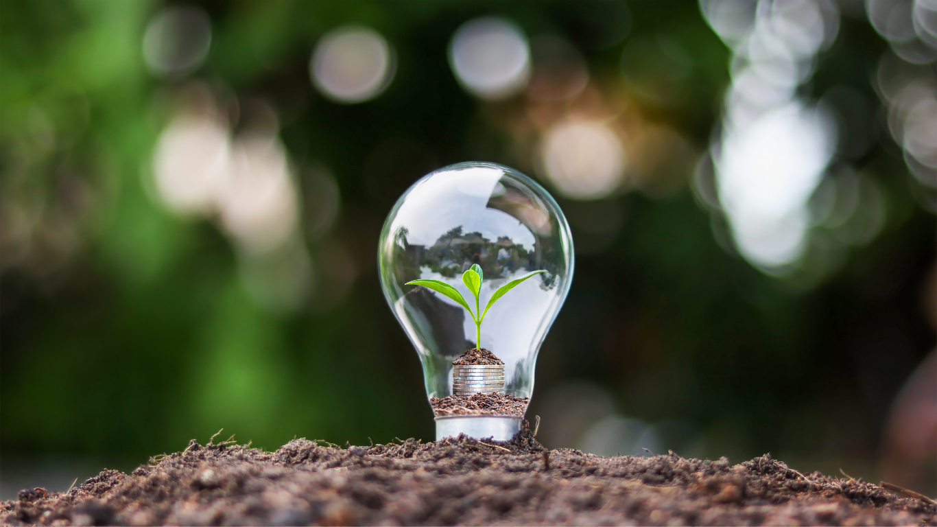 Sustainable development in a lightbulb